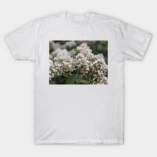 White Blossoming Tree Photographic Image T-Shirt